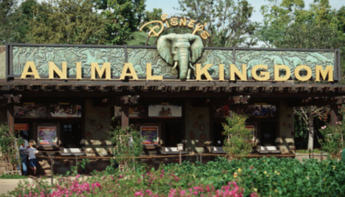 Disney’s Animal Kingdom
